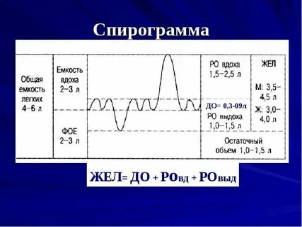Спирограмма легких