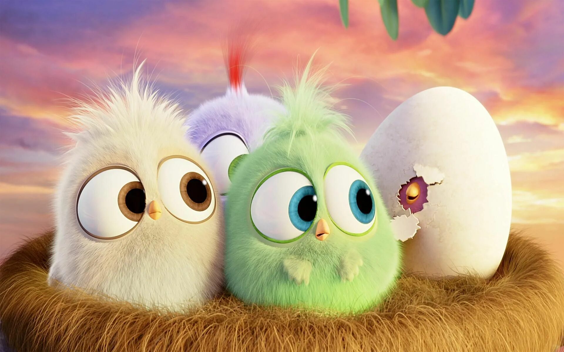 Мульты красивый. Angry Birds в кино мультфильм 2016. Энгри бердз 2 птенцы. Птенцы из Энгри бердз. Птенцы Hatchling Angry Birds.