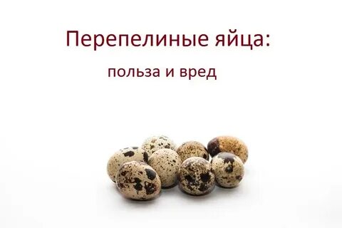 Польза перепелиных яиц для детей