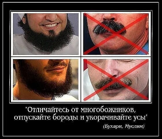 Почему отпустил бороду