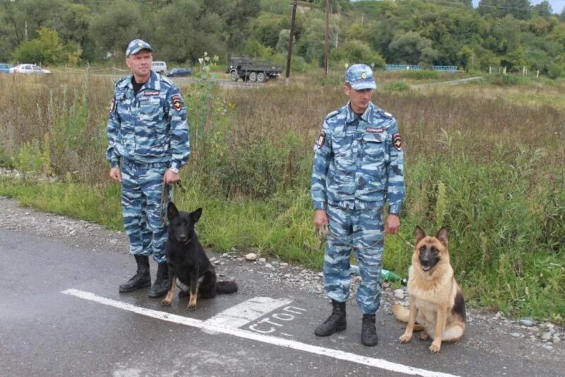 Кинолог высшее. Кинолог Горно-Алтайск. ЦКС МВД по Республике Алтай. Центр кинологической службы МВД по Республике Алтай.