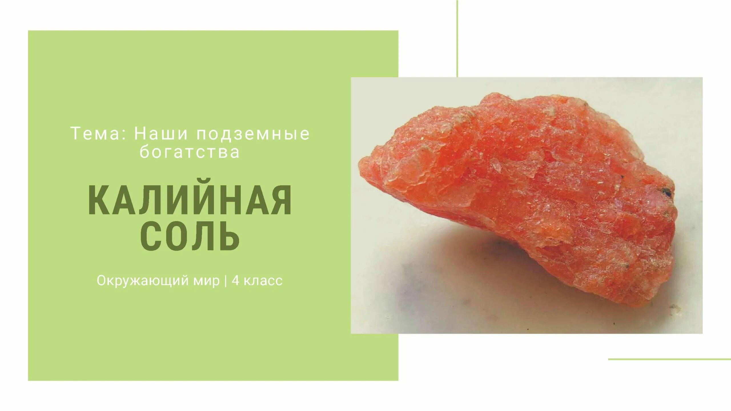 Калийные соли в каких странах. Калийная соль. каменная и калийная соль. калийные соли окружающий мир. калийная соль 4 класс окружающий мир.