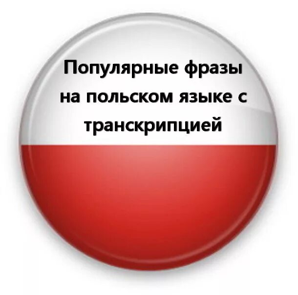 Польско говорящий. Фразы на польском. фразы на поляцком языке. выражения на польском языке. фразы по польски.