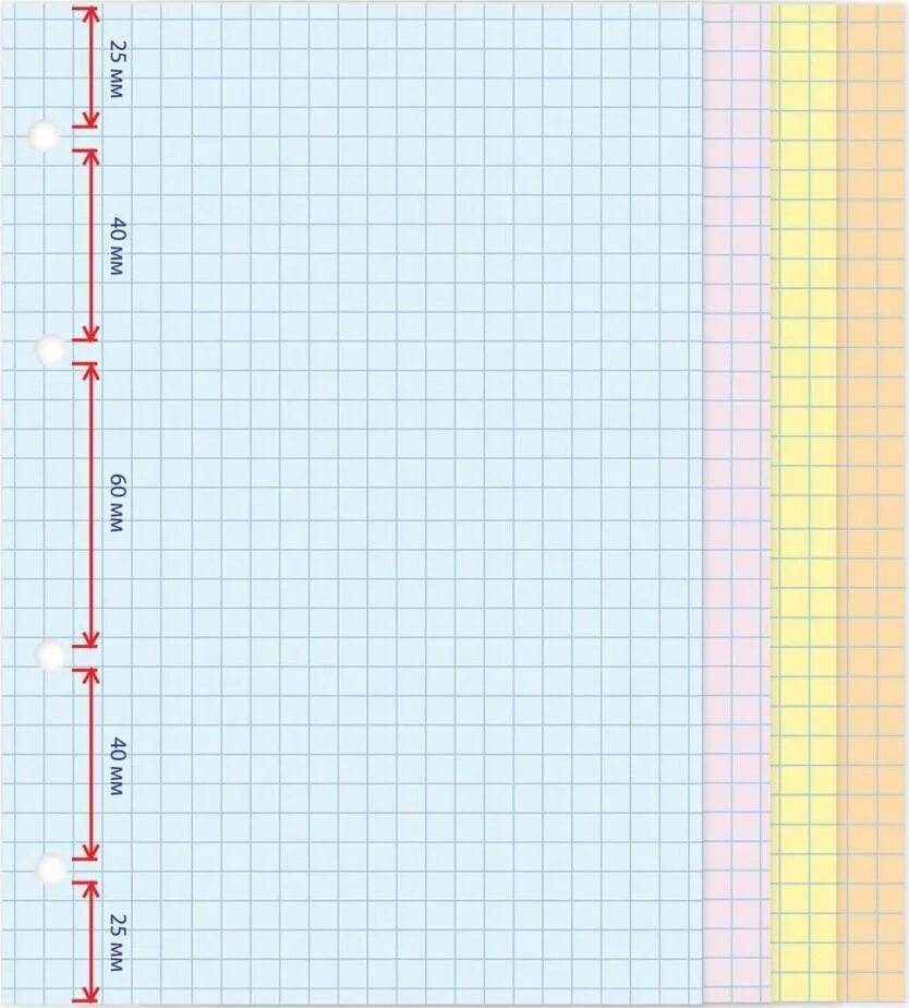 Сменный блок а4 клетка для тетради на кольцах 240x310. Тетрадь на кольцах со сменным блоком а5. Сменный блок к тетради на кольцах copybook. Сменный блок 200л для тетради цветной клетка АКХОЛД. Сколько сантиметров тетрадка