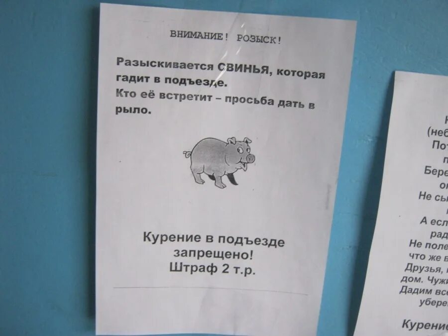 Кто живет в подъезде. Объявление про свиней в подъезде. Объявление для соседей свиней. Объявление не гадить в подъезде.