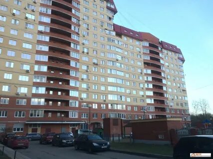 Пушкино кв