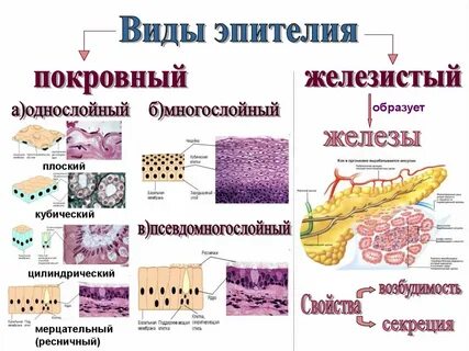 Какая ткань многослойная