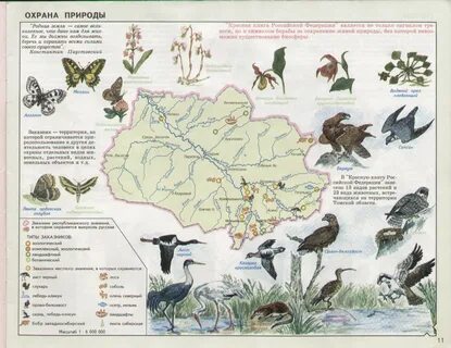 Карта охраны природы