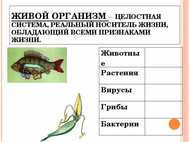 Характеристика живых организмов. Признаки живых организмов 6 класс. Свойства и признаки живых систем. Признаки живых организмов схема.