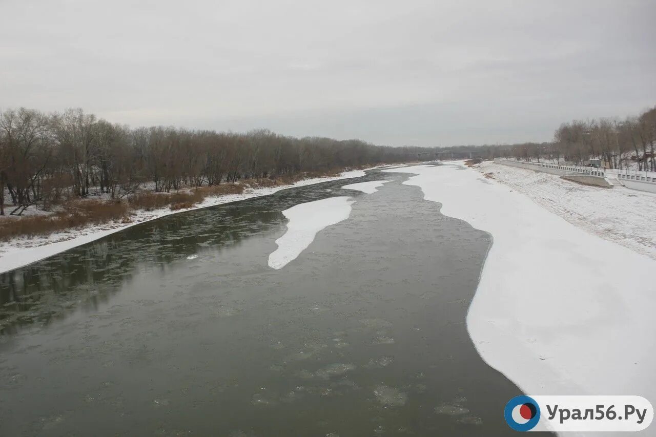 Есть ли вода в оренбурге. Река Урал урал56. Урал Оренбург. Уровень воды у Оренбурга. Самые большие разливы Урала в Оренбурге.