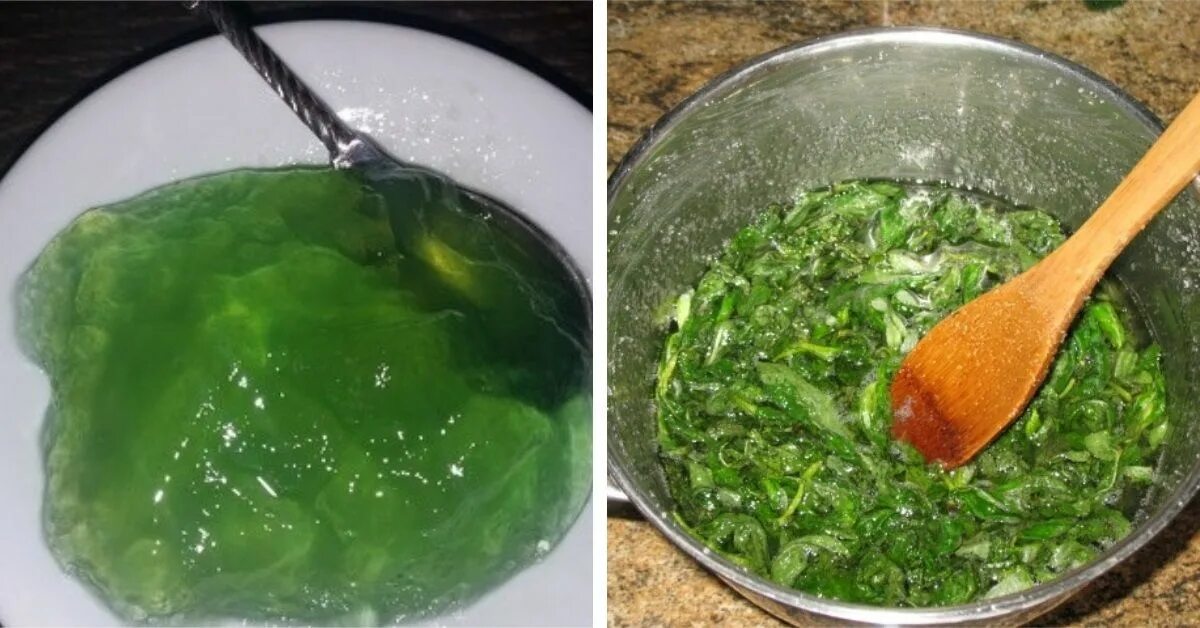 Можно ли варить зеленую