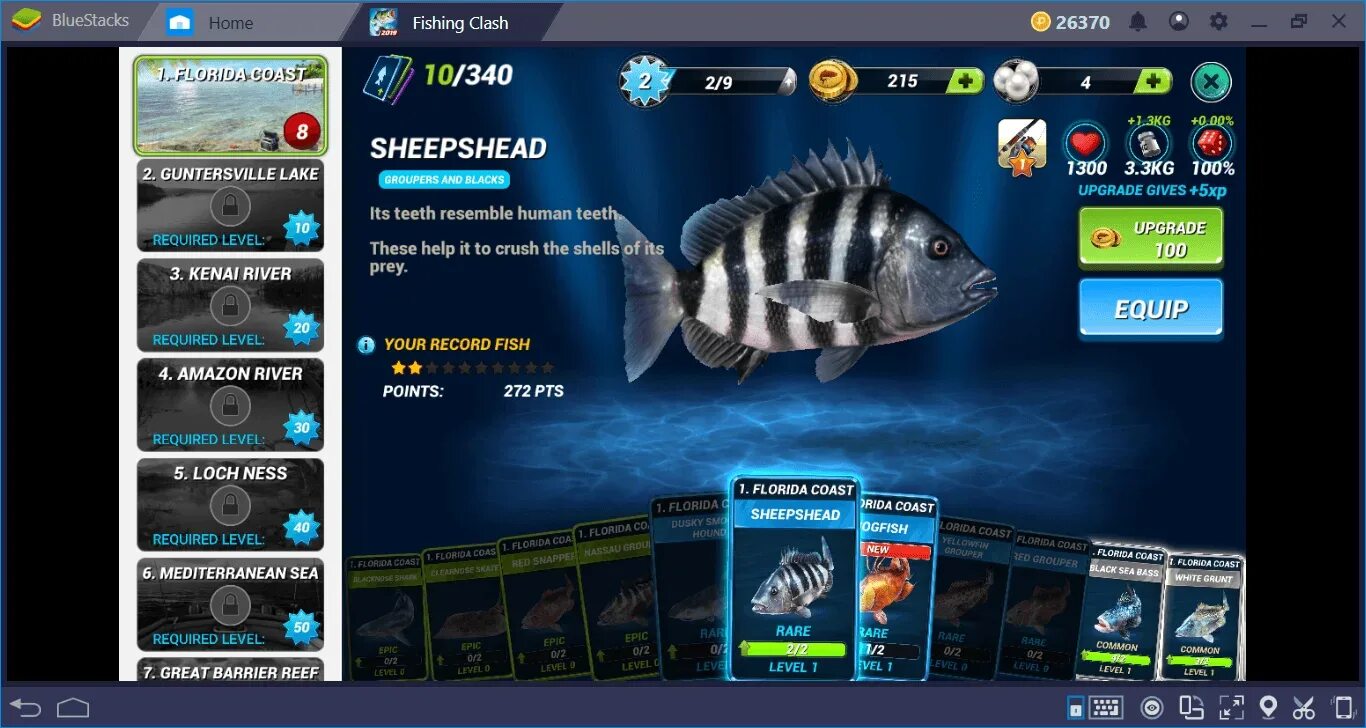 Читы fish. Фишинг клеш. fishing clash коды. fishing clash коды 2025. fishing clash подарочные коды.