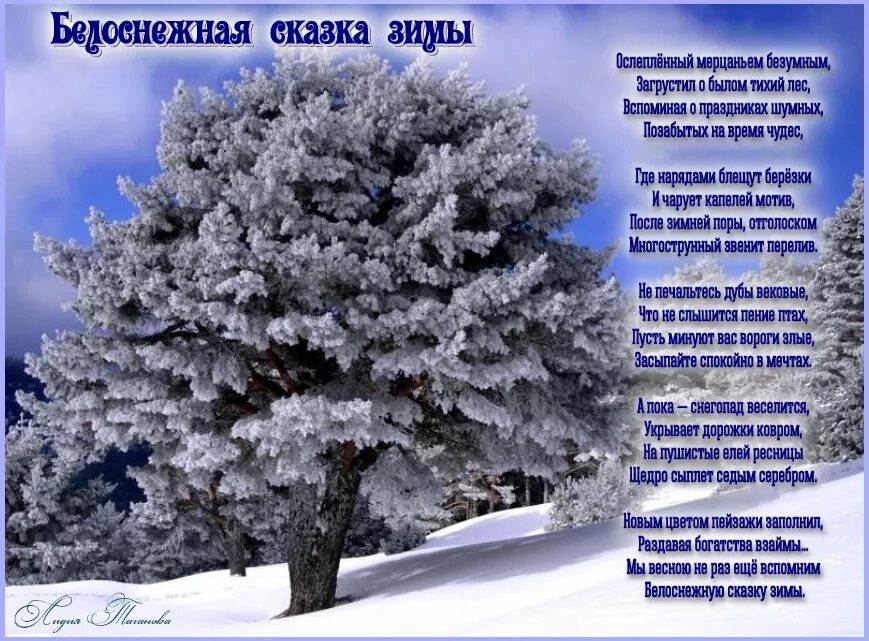 Песня в лес приходит сказка снег фонк. Зимние стихи. Зимнее стихотворение. Красивые зимние стихи. Стихи про зиму.