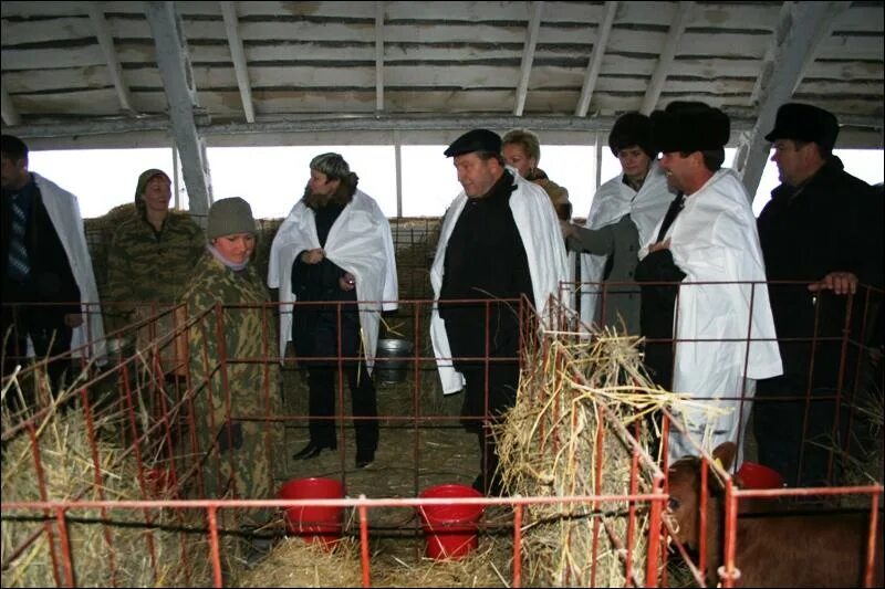 С степное алтайского края родинского. Шаталовка Алтайский край Родинский район. Население Родинский район Алтайский край. Село Шаталовка Родинский район Алтайский край. С Шаталовка Родинского района.