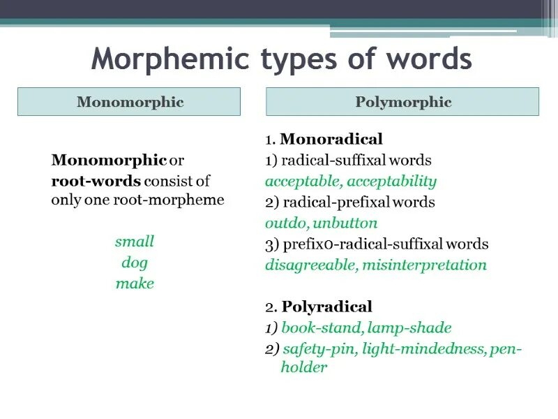 Different types of words. Types of words in english. morphemic structure of the word. morphemic types of words. morpheme and word.