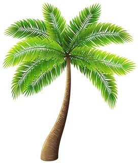 Large palm tree