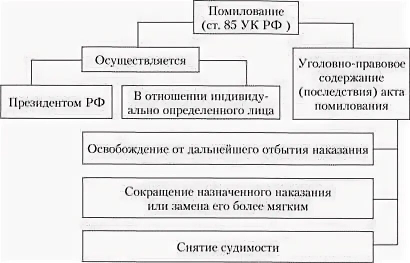 Амнистия помилование судимость таблица. Уголовно-правовое значение амнистии схема. Амнистия и помилование различия таблица. Условия амнистии и помилования схема. Виды амнистии