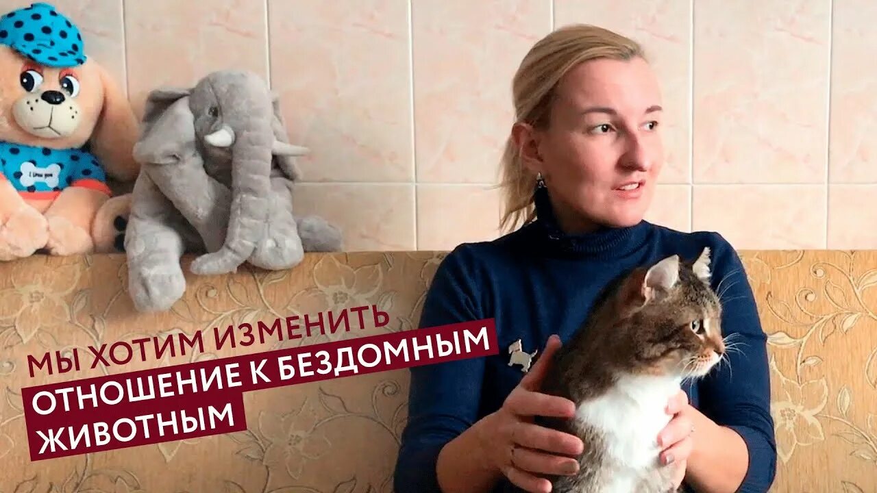 Помощь животным можга