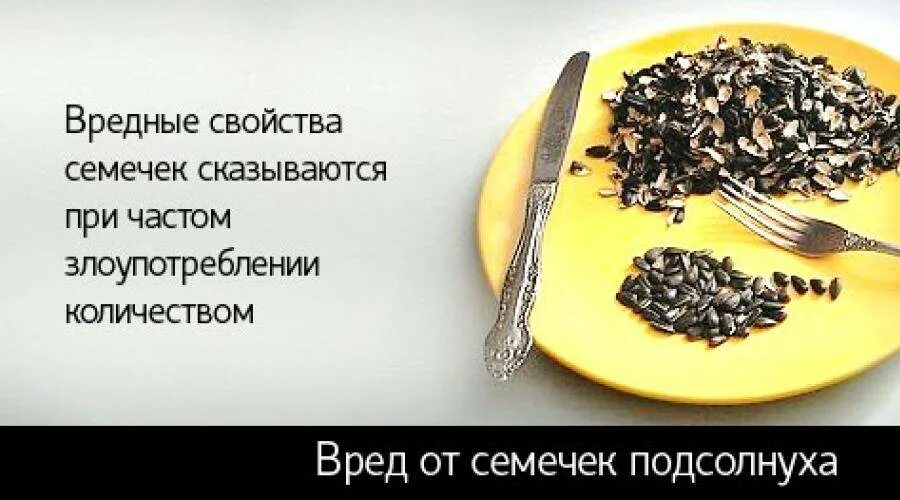 Сколько нужно съесть семечек