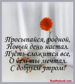 С добрым утром мой родной неповторимый