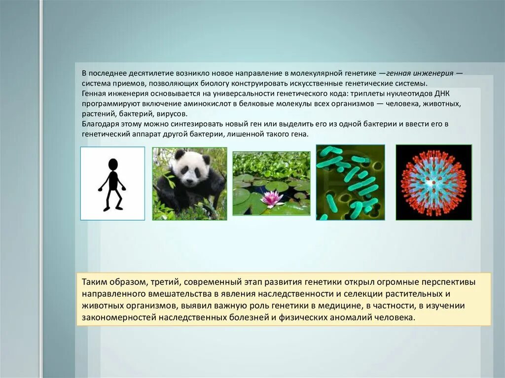 Перспективы генетики. Перспективы развития генетики. Генетика Введение. Генетика и генная инженерия. Современные направления развития генетики.