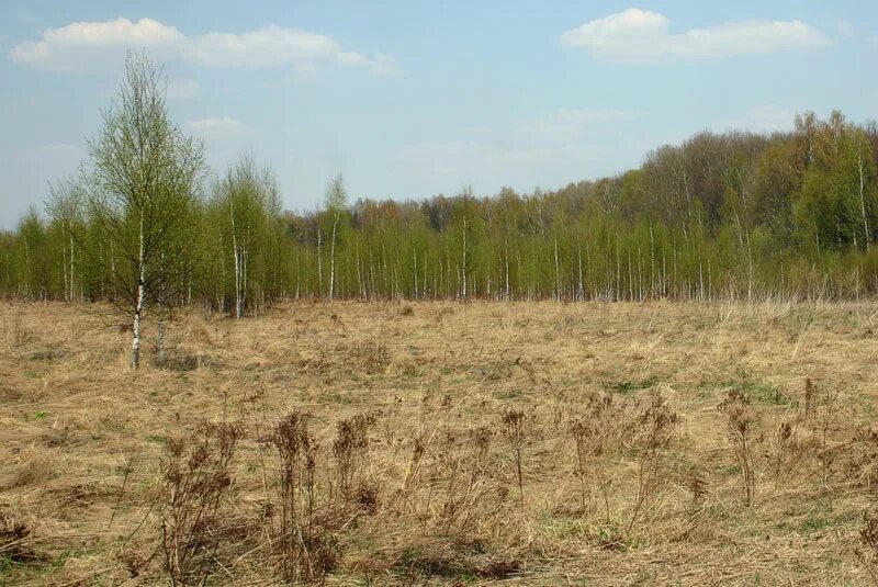 Земли колхозников разграничены от земель собственников. Схема объединения земельных участков. Участок под торговый центр. Земли колхозников разграничены от земель собственников. Разбивка участка.