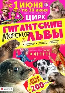Цирк нижний тагил афиша