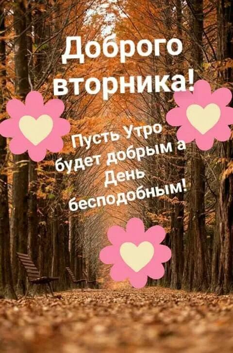 Pin by Irina Fedotova on Доброе утро Fruit, Good morning, Pineapple