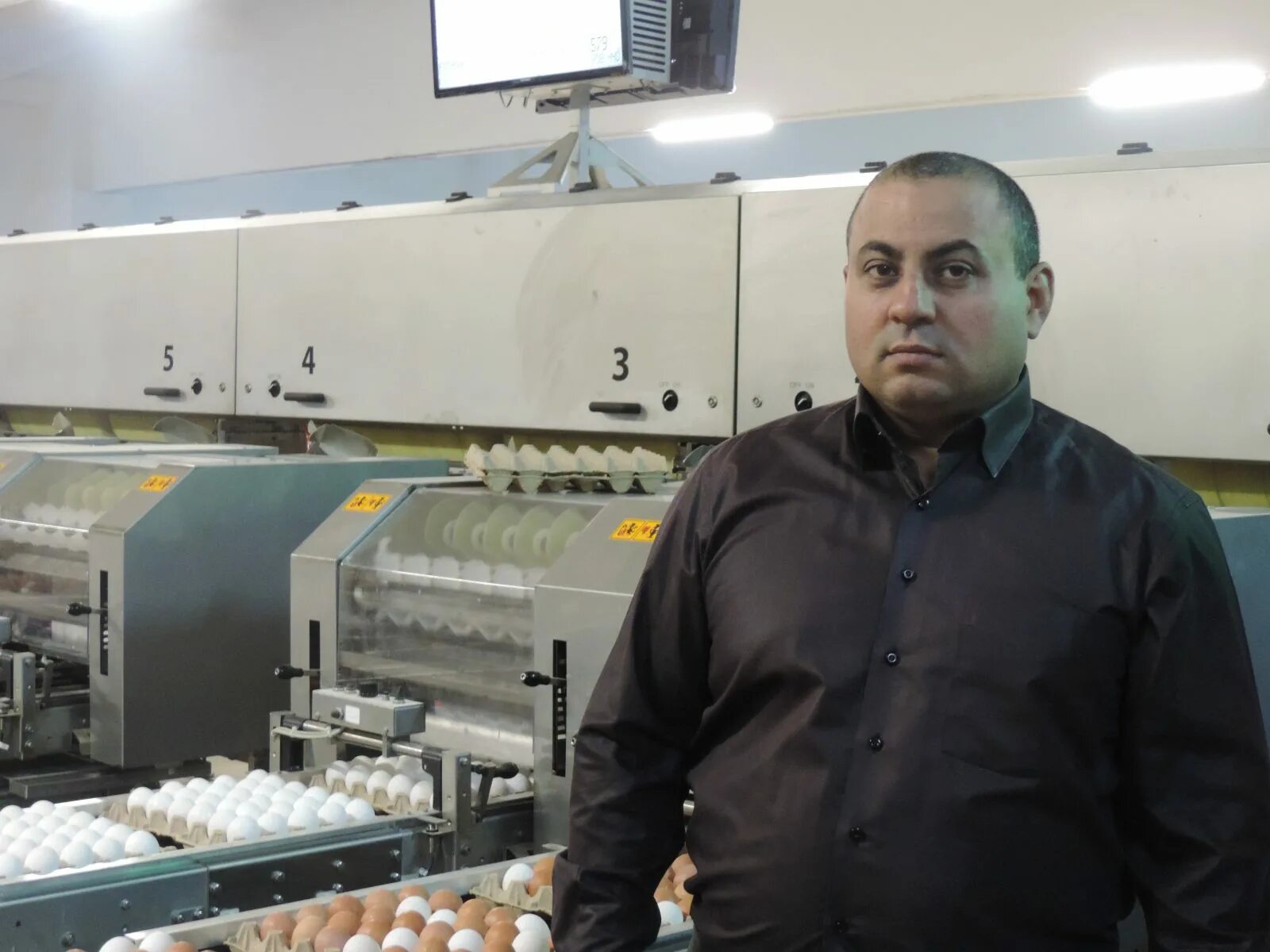 Кфх тоноян калужская область. Gharibjanyan gexam. Современное фермерское хозяйство. Кфх тоноян. "крестьянское хозяйство заря" зерноград.