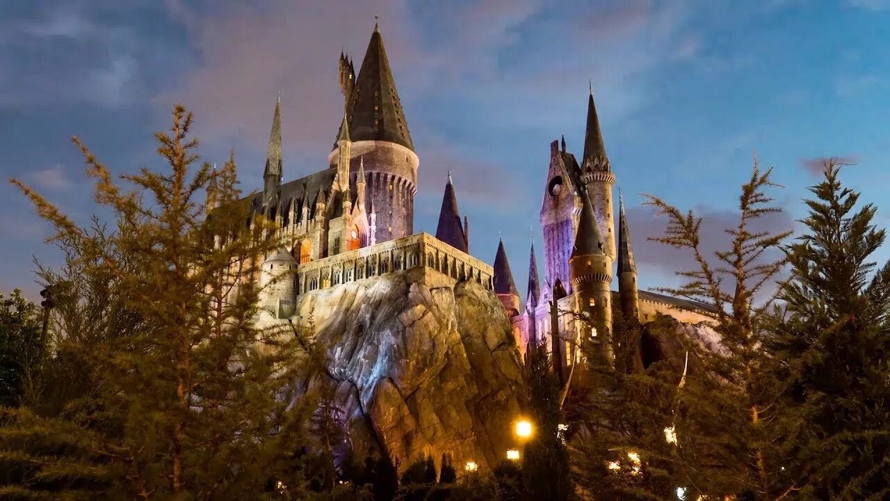 Wizarding world of harry