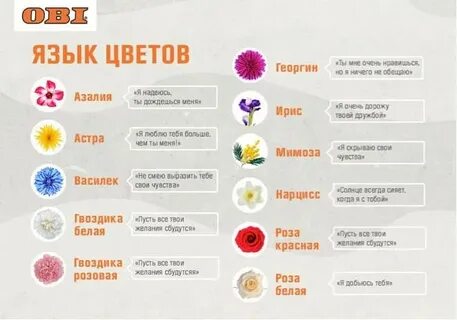 Значение живых цветов