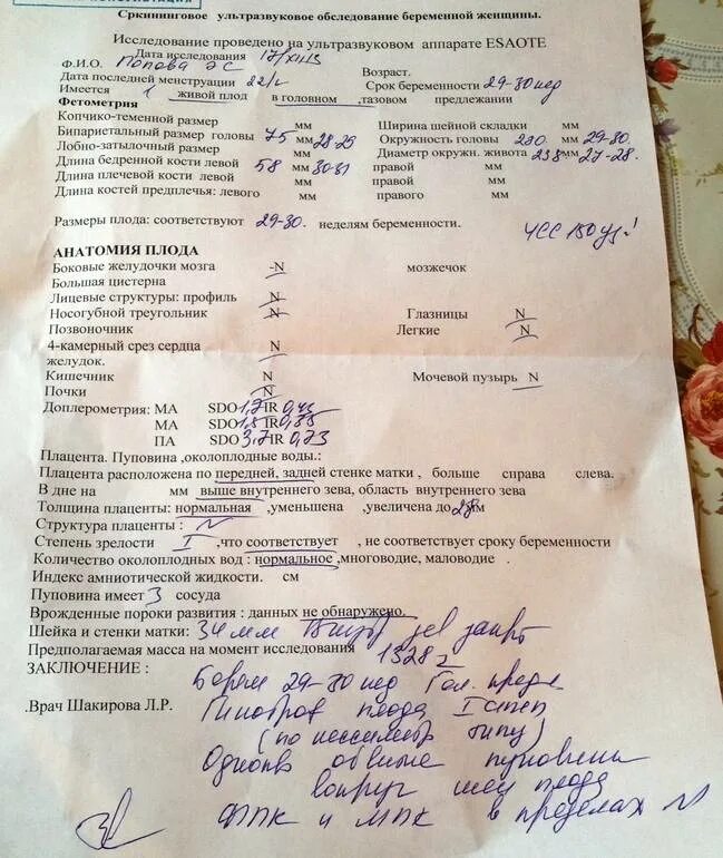 Узи 2 скрининг во сколько недель беременности. 32 неделя беременности скрининг узи. узи заключение беременность 34 неделя. узи 31-32 недели беременности. узи на 32 неделе беременности показатели нормы.