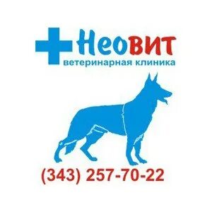 Неовит екатеринбург