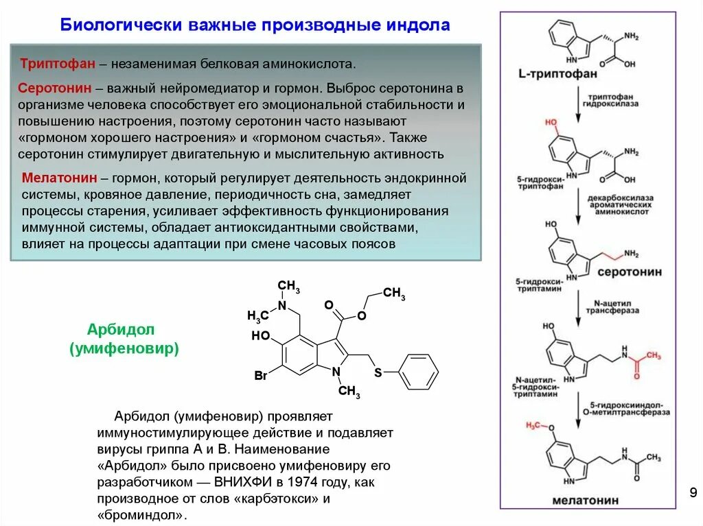 Триптофан производное индола. Гормоны производные триптофана. Триптофан функции. Триптофан характеристика аминокислоты. Серотонин медиатор