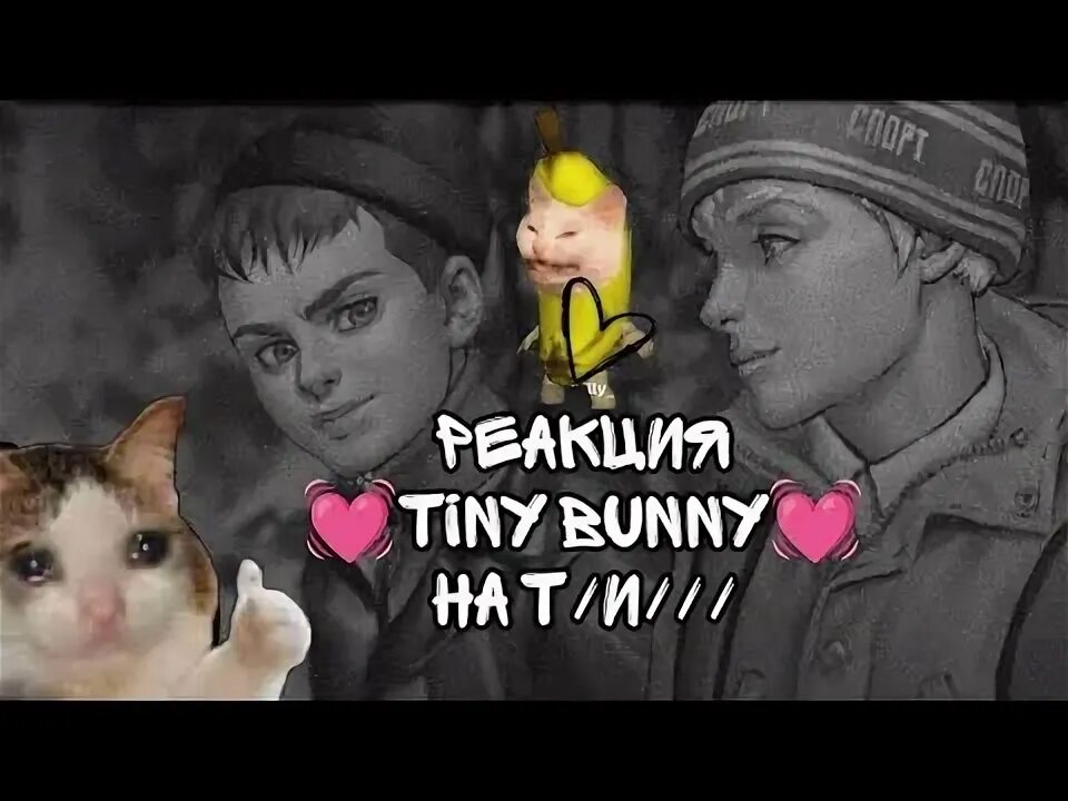 Реакция tiny bunny на т и. Реакция зайчик на т/и.