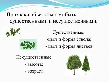 Общие существенные признаки предметов