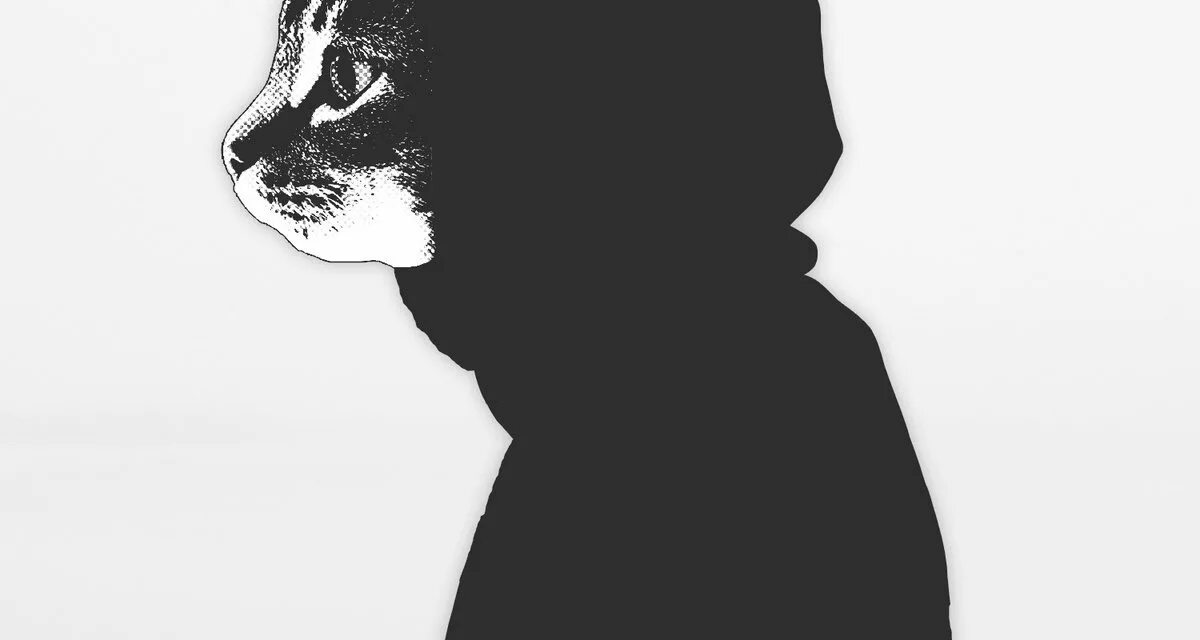 44 days mr. Mr kitty mother mary перевод. Mother mary mr. Mr. Mr kitty певец.