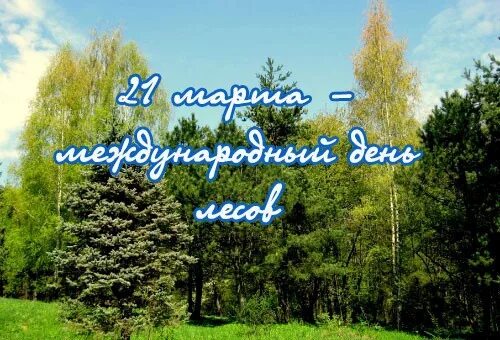 Международный день леса для детей. Международный день лесов. Международный день леса поздравление.