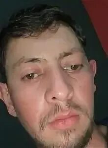 Джунер бот. Джунер бот