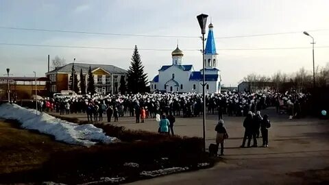 Погода волчиха алтайский край на 14 дней