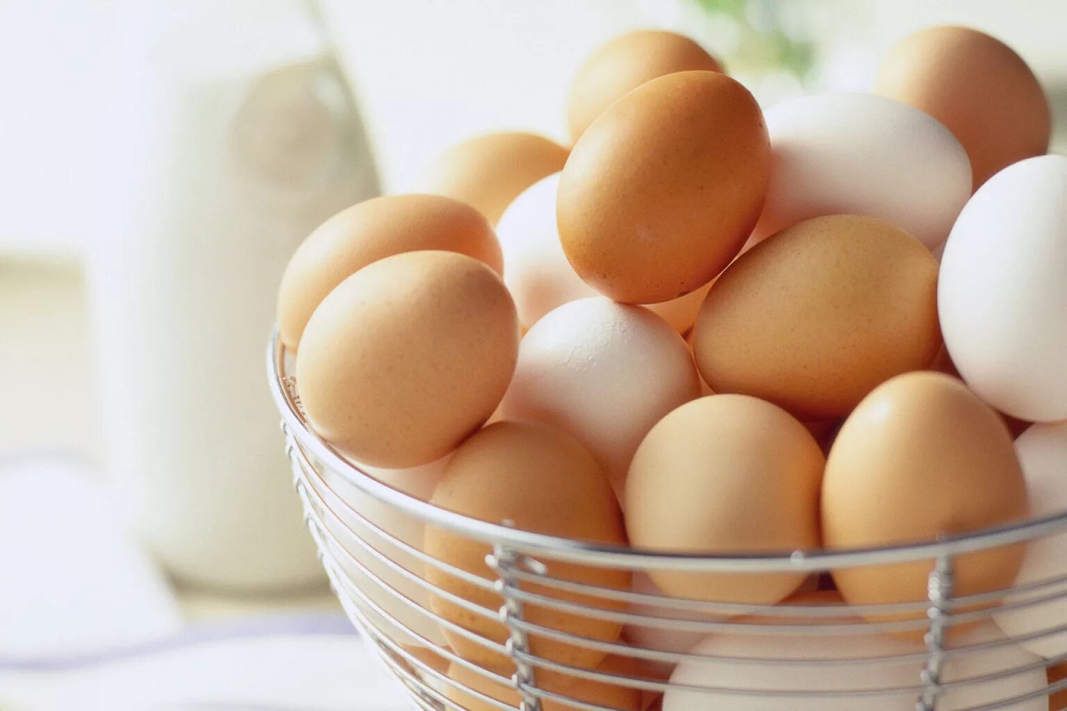 Egg на русском