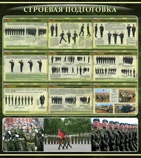 Псп строевая