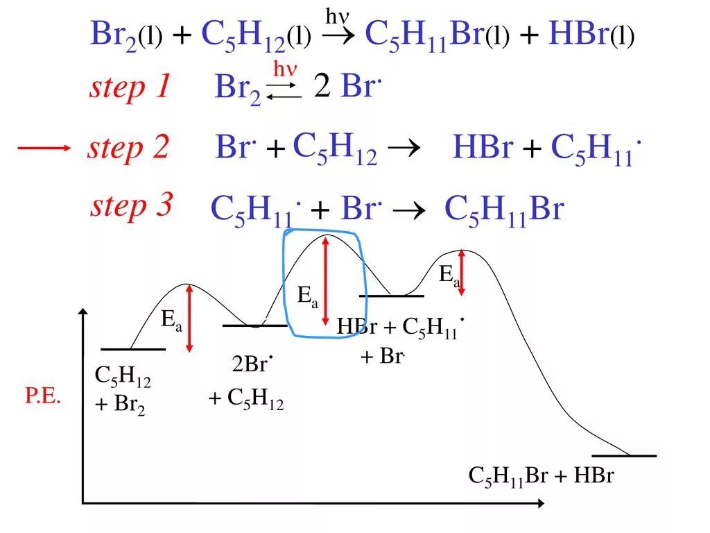 C5h12+br2. Hbr br2. C5h11br Koh. Br2 hbr br2.