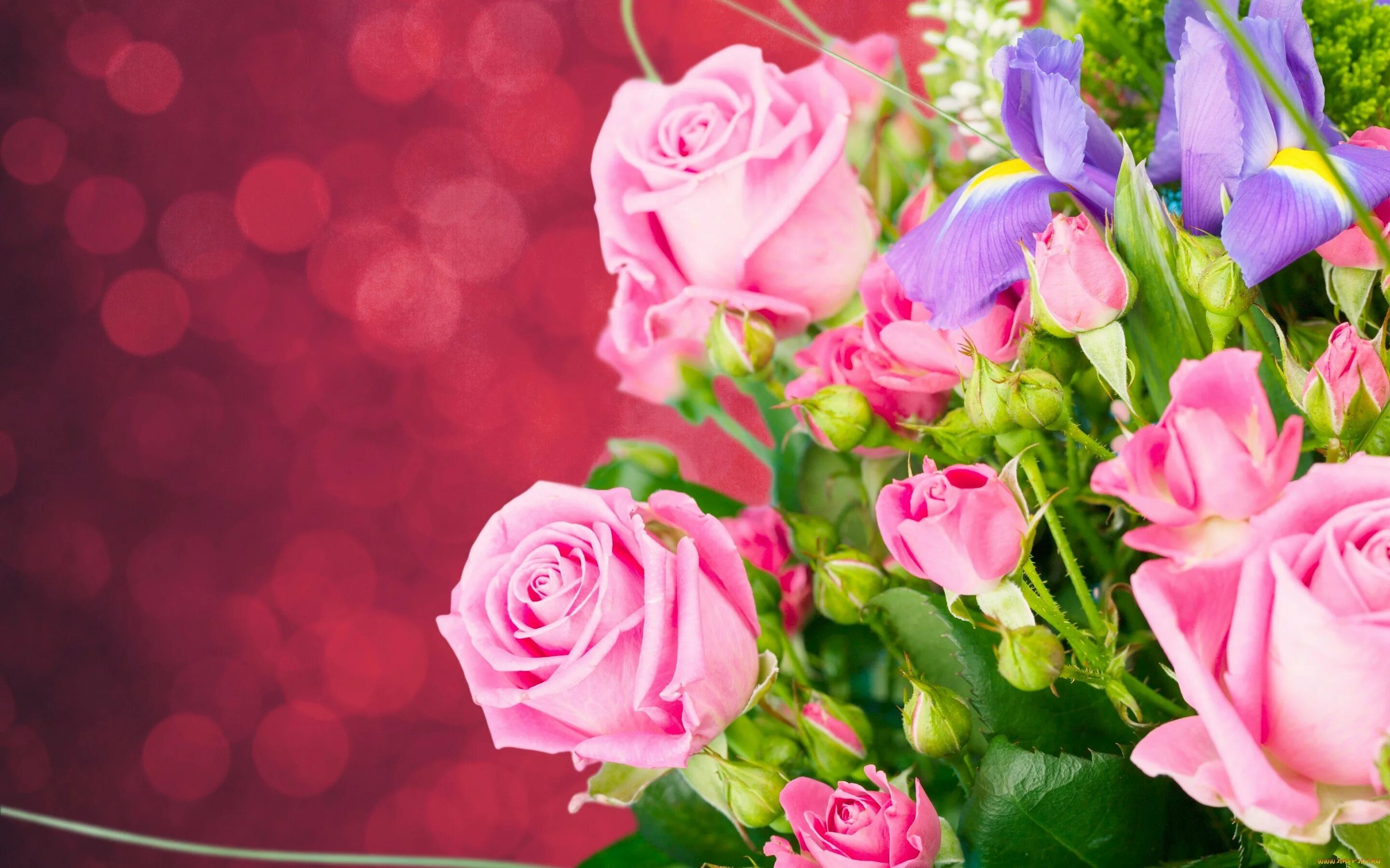 Заставка букет цветов. Розы фон. Шикарные цветы. Цветы букеты красивые. Открытка цветы.