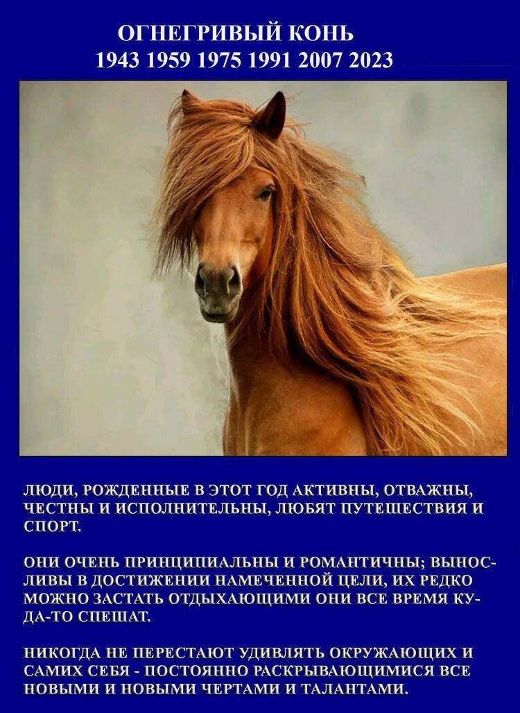 старославянский гороскоп. старославянский гороскоп. славянский гороскоп по месяцам. какой год по славянскому календарю. славянский календарь животных по годам 2020.