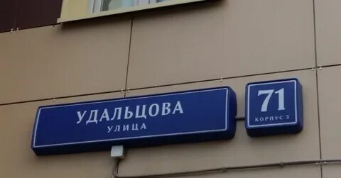 Удальцова платное отделение