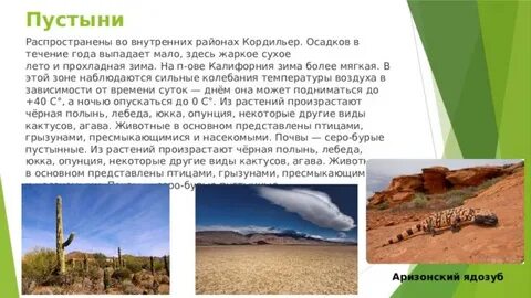 Сколько осадков выпадает в пустыне