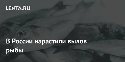 20 августа 2024 рыбы
