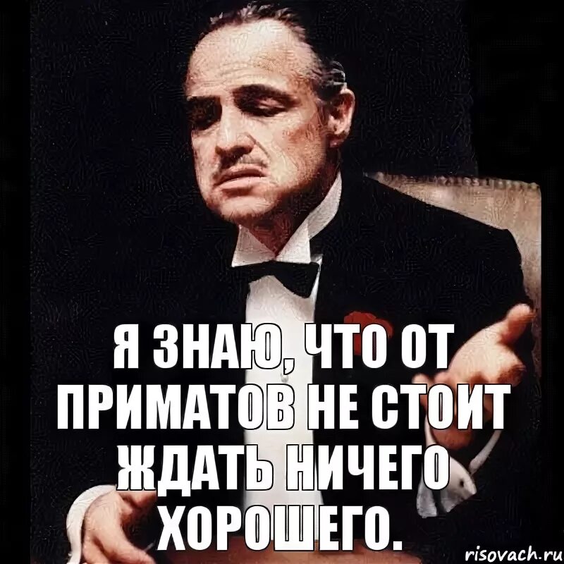Не стоит ничего ждать. Ничего не стоит. ты ничего не стоишь. дешевка афоризмы. нестоило или не стоило.