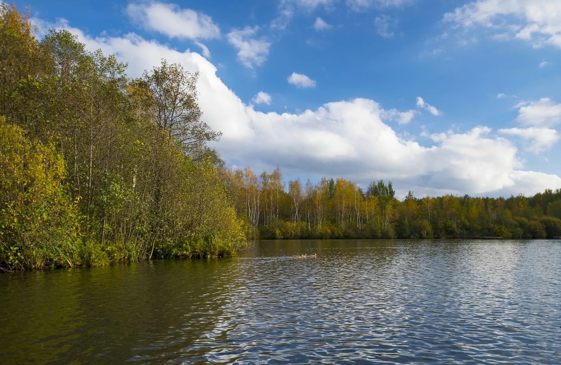 Москва медвежьи озера. Медвежьи озёра (деревня). Медвежьи озера Щелковский район. Медвежьи озёра Московская область Щелковский район. Деревня Медвежьи озёра Щелковский район Московская область.